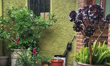 Casa en arriendo en CONCON