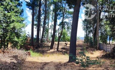 Casa en Venta en Quillón