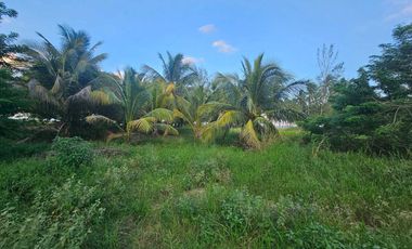TERRENO EN VENTA FRENTE A LA PLAYA – TUXPAN, VERACRUZ