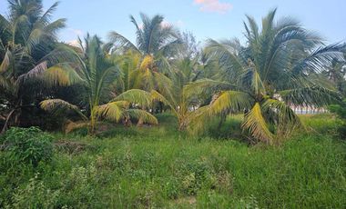 TERRENO EN VENTA FRENTE A LA PLAYA – TUXPAN, VERACRUZ