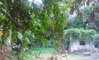 TERRENO EN VENTA – ZONA PORTUARIA / INDUSTRIAL, TUXPAN, VERACRUZ