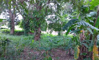 TERRENO EN VENTA – ZONA PORTUARIA / INDUSTRIAL, TUXPAN, VERACRUZ
