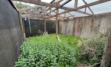 Casa con piscina en arriendo Av. Los Laureles