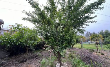 Casa con piscina en arriendo Av. Los Laureles