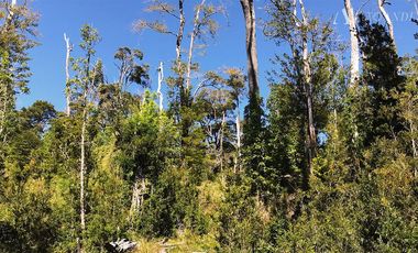 Parcela en Venta en sector Rio Sur, Puerto varas
