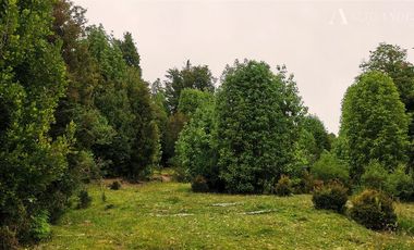 Parcela en Venta en sector Rio Sur, Puerto varas