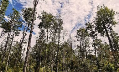 Parcela en Venta en sector Rio Sur, Puerto varas
