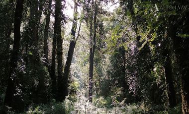 Parcela en Venta en sector Rio Sur, Puerto varas