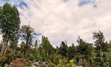 Terreno Construccion  en Venta en sector Rio Sur, Puerto varas