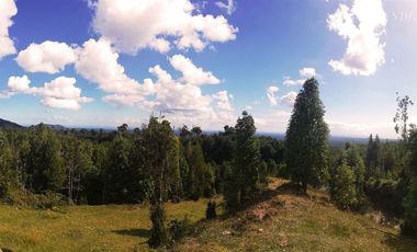 Terreno Construccion  en Venta en sector Rio Sur, Puerto varas