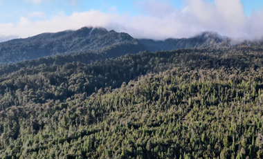Terreno Construccion  en Venta en sector Rio Sur, Puerto varas