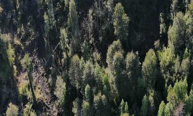 Terreno Construccion  en Venta en sector Rio Sur, Puerto varas