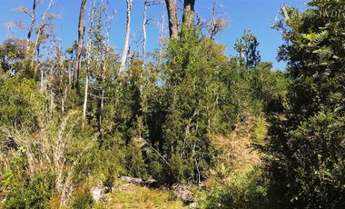 Terreno Construccion  en Venta en sector Rio Sur, Puerto varas