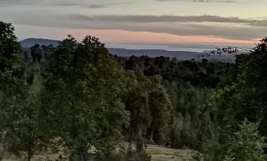 Terreno Construccion  en Venta en sector Rio Sur, Puerto varas