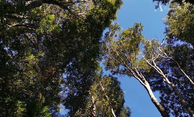 Terreno Construccion  en Venta en sector Rio Sur, Puerto varas