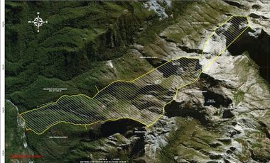 VENDE LINDO CAMPO PARA AGROTURISMO ACCESO RIO PERQUELAUQUEN