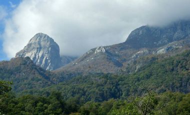 VENDE LINDO CAMPO PARA AGROTURISMO ACCESO RIO PERQUELAUQUEN