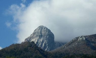 VENDE LINDO CAMPO PARA AGROTURISMO ACCESO RIO PERQUELAUQUEN