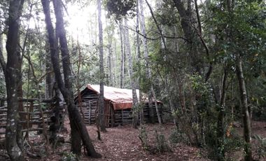 VENDE LINDO CAMPO PARA AGROTURISMO ACCESO RIO PERQUELAUQUEN