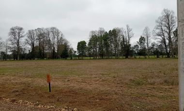 VENTA TERRENO - SITIO 5000MTS La Union