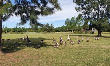 Terreno en venta - 1133mts2 - Posadas de los Lagos, Brandsen