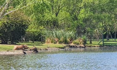 Terreno en venta - 1133mts2 - Posadas de los Lagos, Brandsen