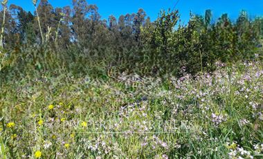 Terreno Camino El Venado