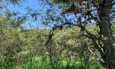 TERRENO EN VENTA EN URB. LA VIÑA TUMBACO