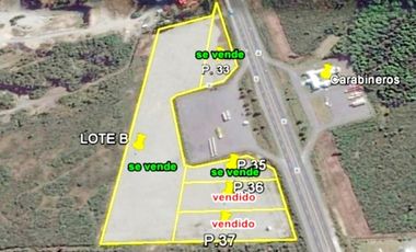 TERRENOS ORILLA RUTA 5  ENTRE PUERTO VARAS Y PUERTO MONTT