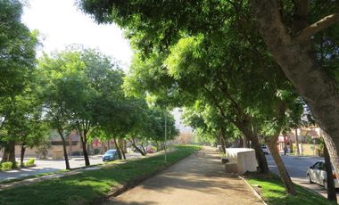 Castellón - Lo Campino