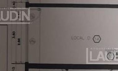 Local en Leandro N Alem