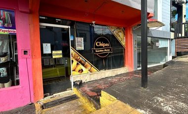 Local en Leandro N Alem