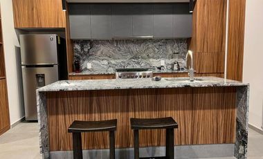 HERMOSO LOFT EN RENTA COLOMOS PROVIDENCIA