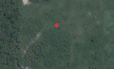 Chacra en Venta - 22.000 mts2 - Formosa