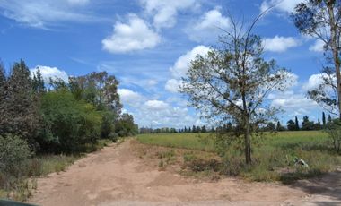 Terreno con vocación para desarrollo Industrial o Vivienda de Interés Social