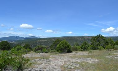 Terreno con vocación para desarrollo Industrial o Vivienda de Interés Social