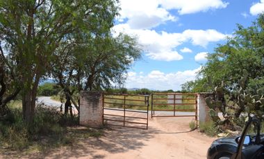 Terreno con vocación para desarrollo Industrial o Vivienda de Interés Social