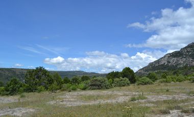 Terreno con vocación para desarrollo Industrial o Vivienda de Interés Social