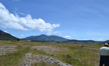 Terreno con vocación para desarrollo Industrial o Vivienda de Interés Social