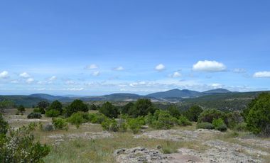 Terreno con vocación para desarrollo Industrial o Vivienda de Interés Social