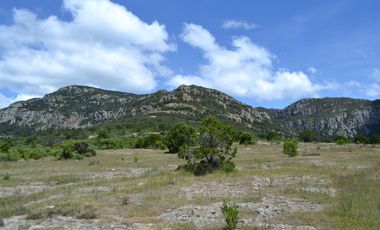 Terreno con vocación para desarrollo Industrial o Vivienda de Interés Social