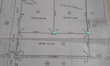 Chacra - Chichinales