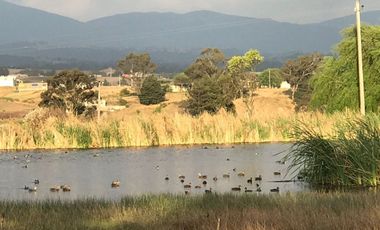 BAJA SU PRECIO!! Rancho en Venta, San José Las Lomas, Temoaya, Edo. de Méx.