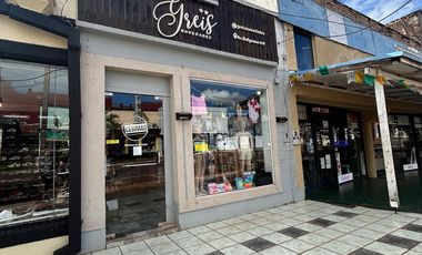 Local en Leandro N Alem