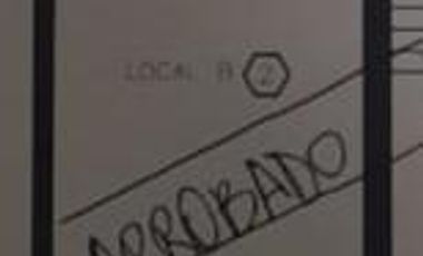 Local en Leandro N Alem