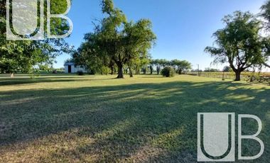 Hermosa Chacra Agrícola + Galpón+ Casa+ Quincho!!