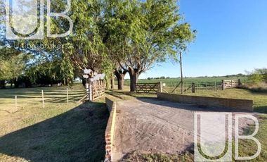 Hermosa Chacra Agrícola + Galpón+ Casa+ Quincho!!