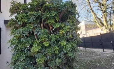 Casa en Venta - 4 Dormitorios 2 Baños - 385 mts2 - Tigre, Buenos Aires