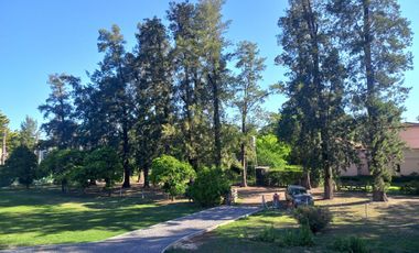 Alquiler temporario - 1ra de febrero  Bella Vista