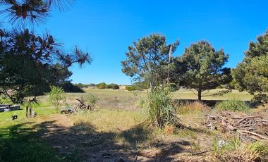 Casa en venta - 4 Dormitorios 5 Baños - Cochera - 1.077Mts2 - Costa Esmeralda, Pinamar